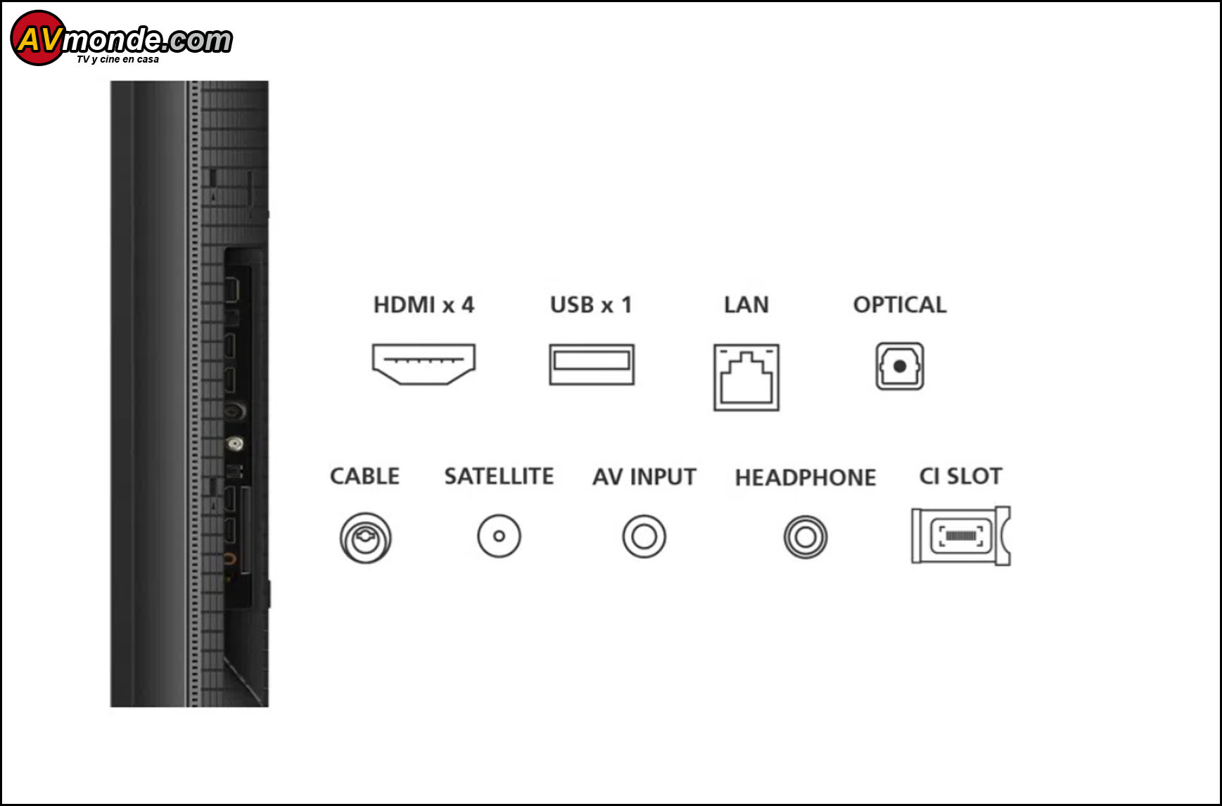 La parte trasera del TCL 55T8B luce un diseño estilizado, con un subwoofer central que no solo realza su aspecto estético, sino que también optimiza la calidad del sonido.